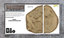 BB506: Desert Hill - 2 Piece